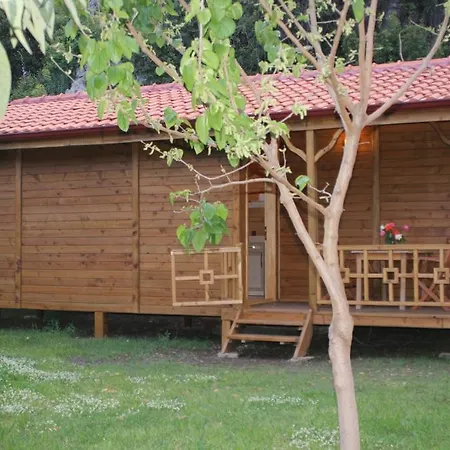 بيت ضيافة Melisa Çıralı